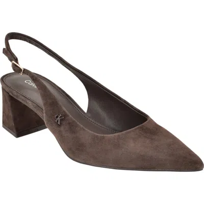 Calvin Klein Sarra Slingback Pointed Toe Pump In Brown