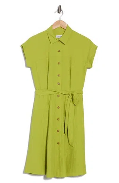 Calvin Klein Short Sleeve A-line Shirtdress In Celery