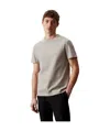 Calvin Klein Short-sleeved T-shirt In Multicolor