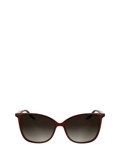 Calvin Klein Sunglasses In Brown