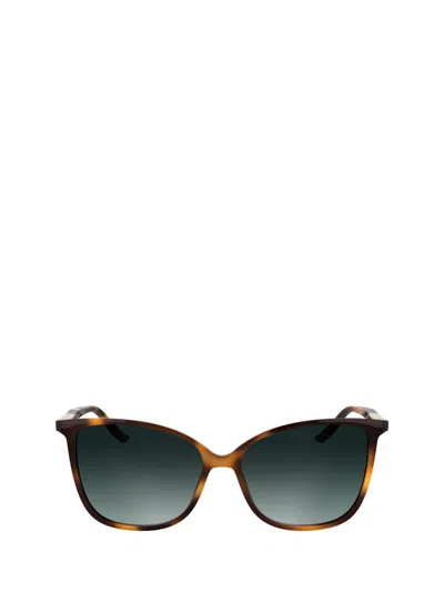 Calvin Klein Sunglasses In Brown