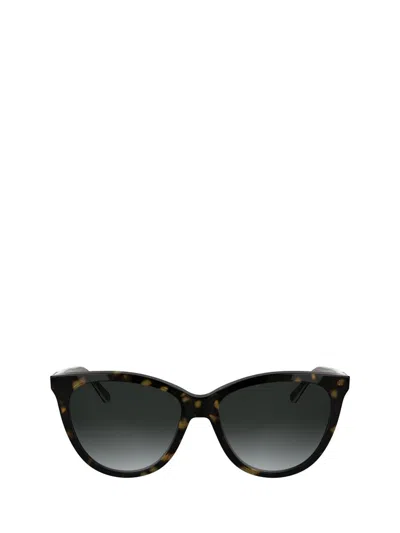 Calvin Klein Sunglasses In Brown