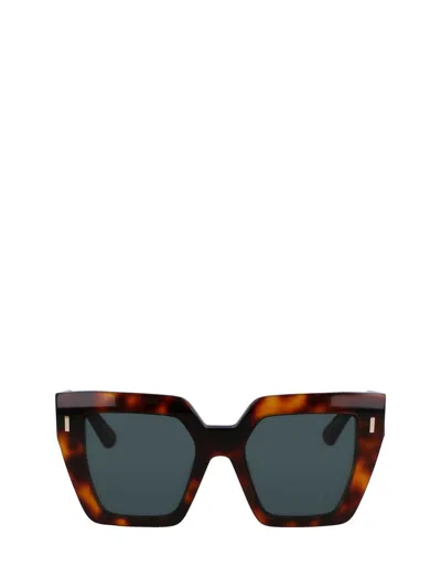 Calvin Klein Sunglasses In Brown Havana