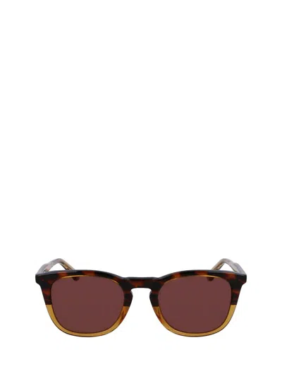 Calvin Klein Sunglasses In Brown Havana