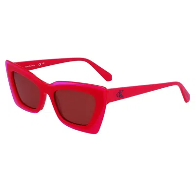 Calvin Klein Sunglasses In Purple
