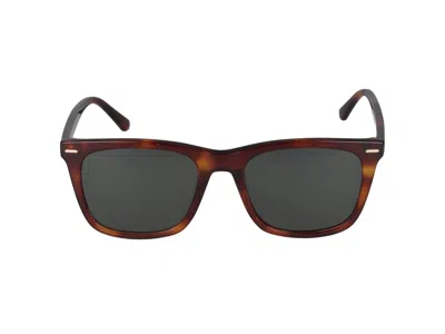 Calvin Klein Sunglasses In Honey Tortoise