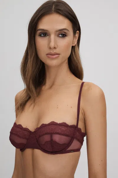 Calvin Klein Tawny Port Underwear Mesh Lace Balconette Bra In Burgundy