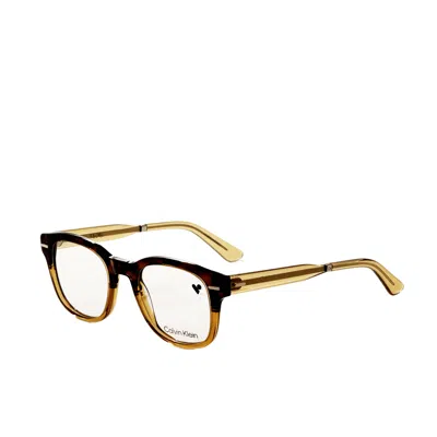 Calvin Klein Unisex 49 Mm Brown Opticals In Transparent