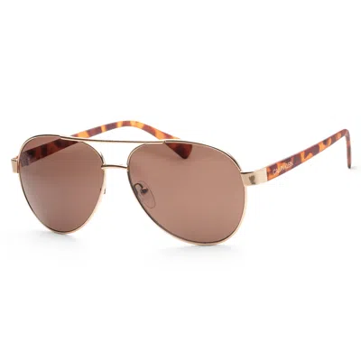 Calvin Klein Unisex 60mm Gold Sunglasses In Brown