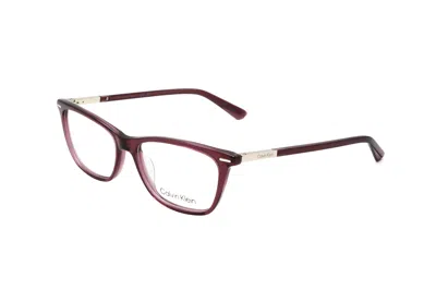 Calvin Klein Women's 52mm Burgundy Opticals In Multi