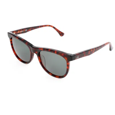 Calvin Klein Women's 52mm Burnt Havana Sunglasses In Red