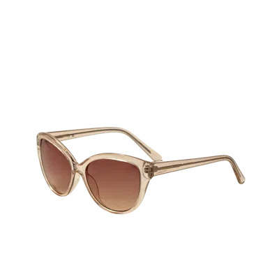 Calvin Klein Women's 55mm Beige Sunglasses Ck19536sn-270 In Brown