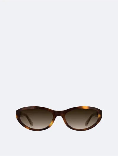 Calvin Klein Women's Acetate Cat Eye Sunglasses In Brown