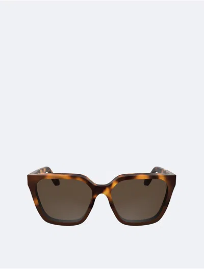 CALVIN KLEIN WOMEN'S ACETATE MODIFIED RECTANGLE SUNGLASSES