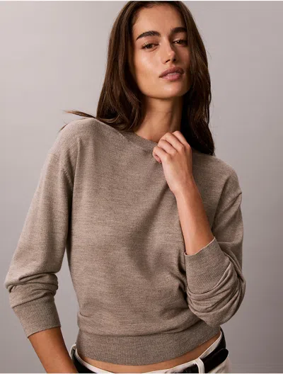 Calvin Klein Women's Merino Wool Blend Crewneck Sweater In Brown