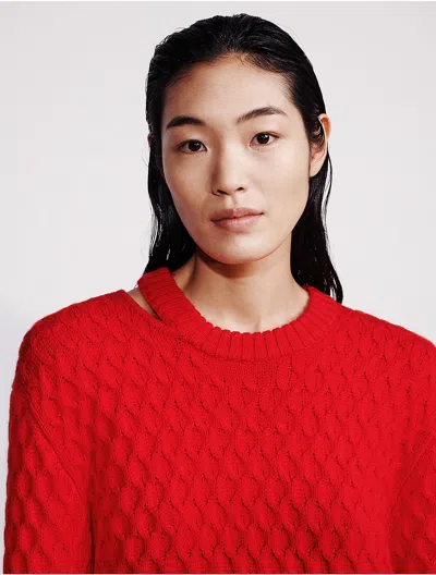 Calvin Klein Women's Merino Wool Cable Knit Relaxed Crewneck Sweater In Red