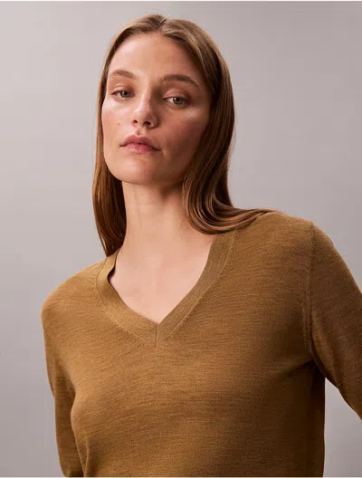 Calvin Klein Women's Merino Wool V-neck Sweater In Brown