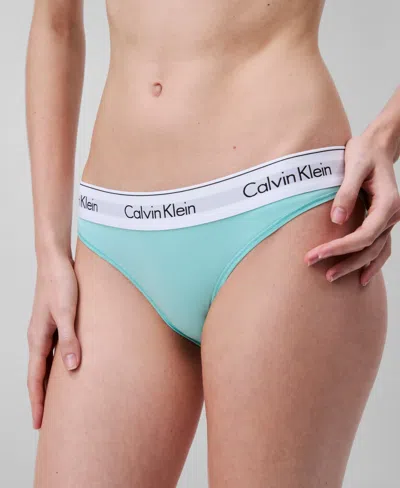 Calvin Klein Women's Modern Cotton Bikini Underwear F3787 In Beau Blue