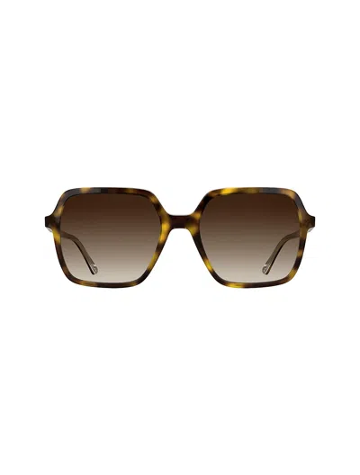 Calvin Klein Women's Modified Rectangle Sunglasses In Brown