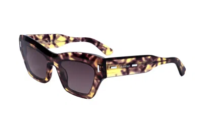 Calvin Klein Women's Purple Havana 54mm Sunglasses In Brown