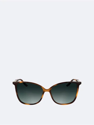Calvin Klein Women's Slim Butterfly Sunglasses In Havana