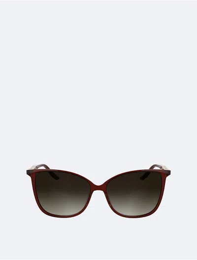 Calvin Klein Women's Slim Butterfly Sunglasses In Transparent Burgundy