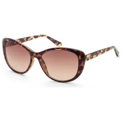 Calvin Klein Women's Sunglasses In Brown