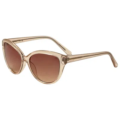 Calvin Klein Women's Sunglasses In Transparent
