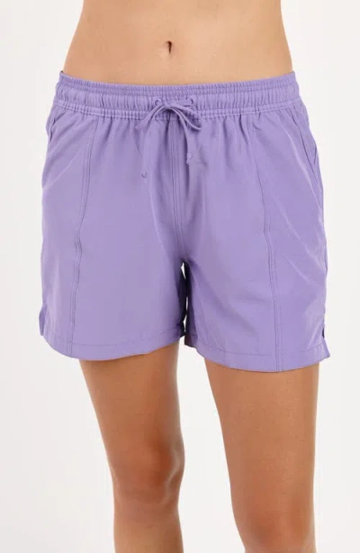 CALYPSA CALYPSA 4" BOARD SHORTS