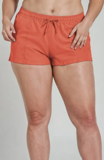 Calypsa Plus Size 2"-3" Board Shorts In Brown