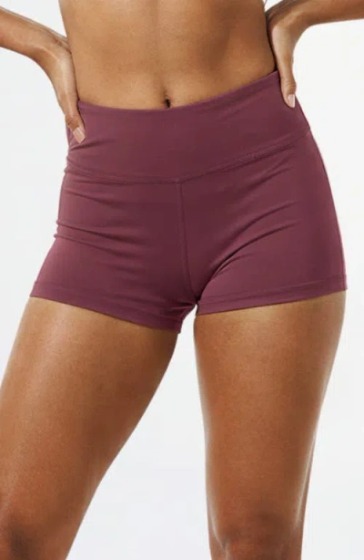 Calypsa Swim Shorts In Purple