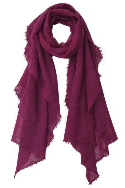 Calypso St Barth Calypso St. Barth Felted Cashmere Scarf In Burgundy