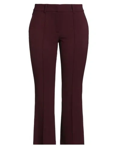 Cambio Woman Pants Burgundy Size 14 Polyester, Viscose, Cotton, Elastane In Brown