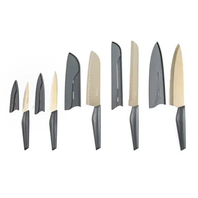 Cambridge Silversmiths Chef Robert Irvine 10-piece Knife Set In Gray