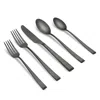 Cambridge Silversmiths Marlise Champagne Satin 20 Piece Flatware Set In Black