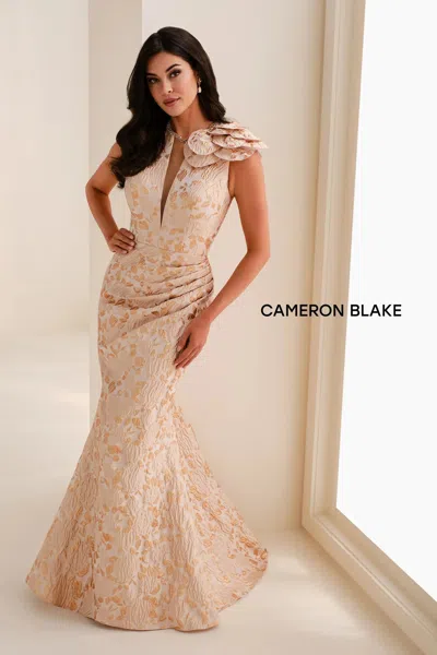Cameron Blake Cb821 Long Formal Mermaid Evening Dress In Multi