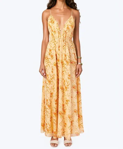 Cami Nyc Dorinda Crinkle Chiffon Maxi Dress In Golden Hour