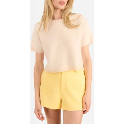 Cami Nyc Eugeny Short Sleeve Cashmere Sweater In Brown