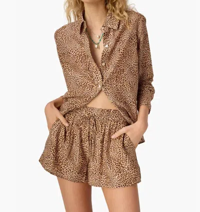 Cami Nyc Rafella Silk Cotton Top In Leopard In Multi