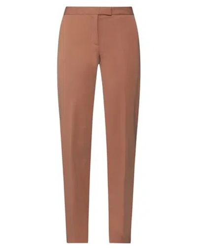 CAMICETTASNOB CAMICETTASNOB WOMAN PANTS BROWN SIZE 4 COTTON, POLYAMIDE, ELASTANE