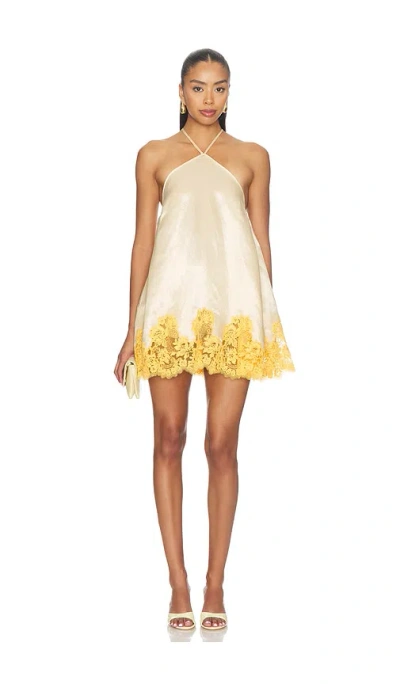 Camila Coelho Anahi Mini Dress In Neutral