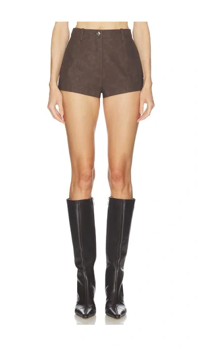 Camila Coelho Lera Shorts In Brown