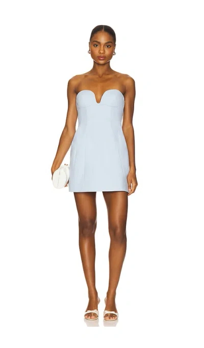 Camila Coelho Lotta Mini Dress In Blue