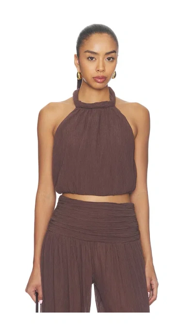 Camila Coelho Mirelle Top In Brown