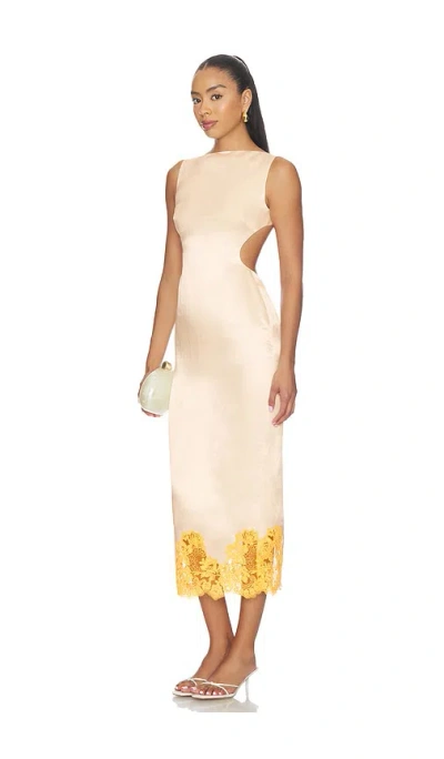 Camila Coelho Mireya Maxi Dress In Pink