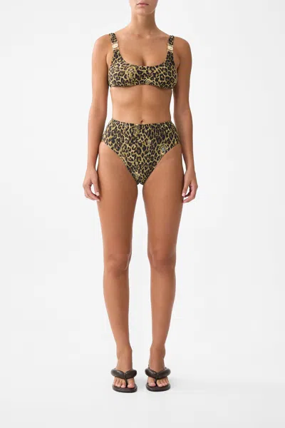 Camilla Crinkle Stretch High Waist Bikini Bottom With Back Trim Feline Folklore In Multi