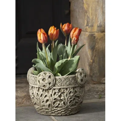 Campania International Cast Stone Pot Planter In English Moss
