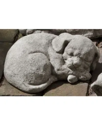 Campania International Curled Dog Small Garden Statue In Rust