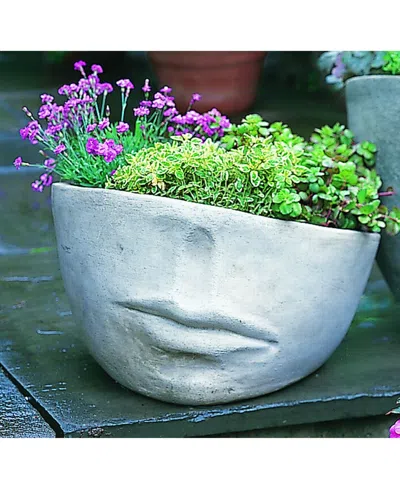 Campania International Faccia Planter In Slate