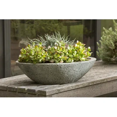 Campania International Garden Terrace Cast Stone Pot Planter In English Moss